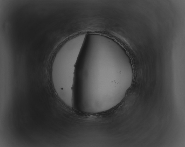 X0000101161160200806270726