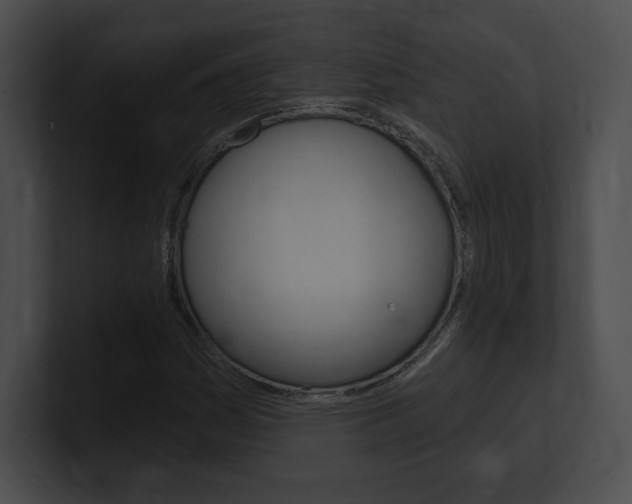 X0000101161161200806270726