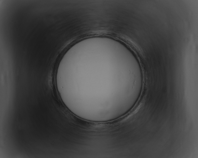 X0000101161162200806270726