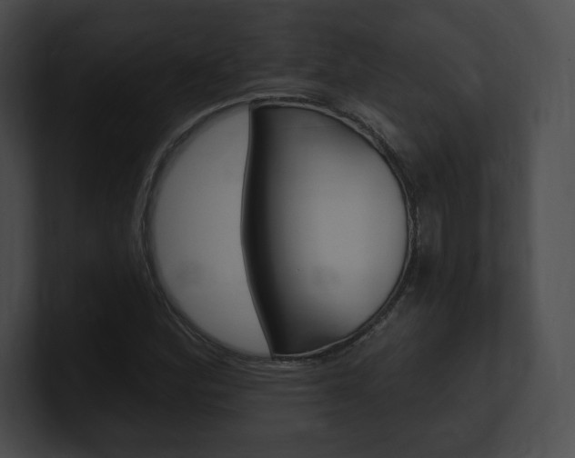 X0000101161164200806270726