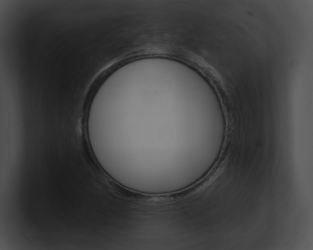 X0000101161166200806270726