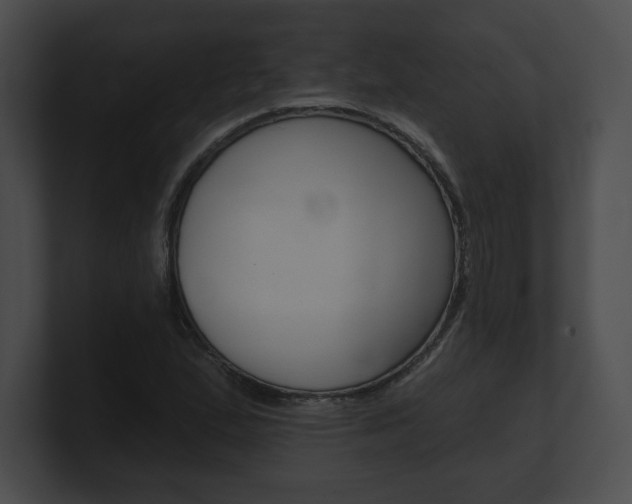 X0000101161167200806270726