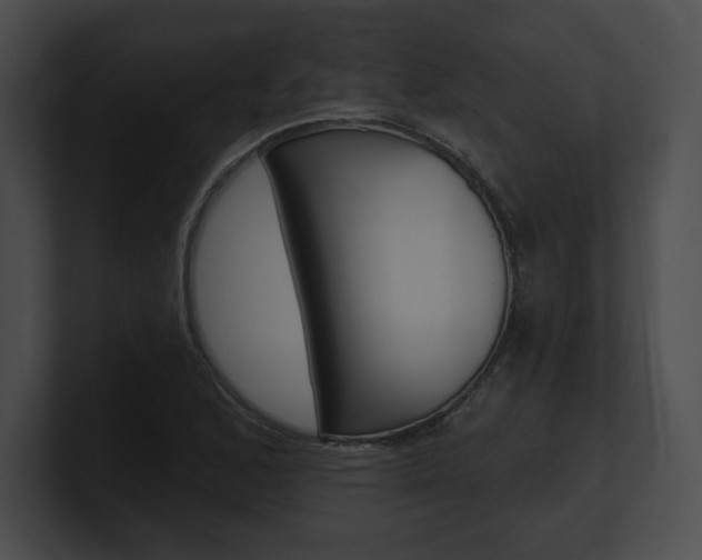 X0000101161168200806270726