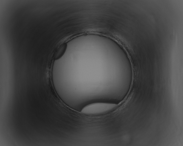 X0000101161169200806270726