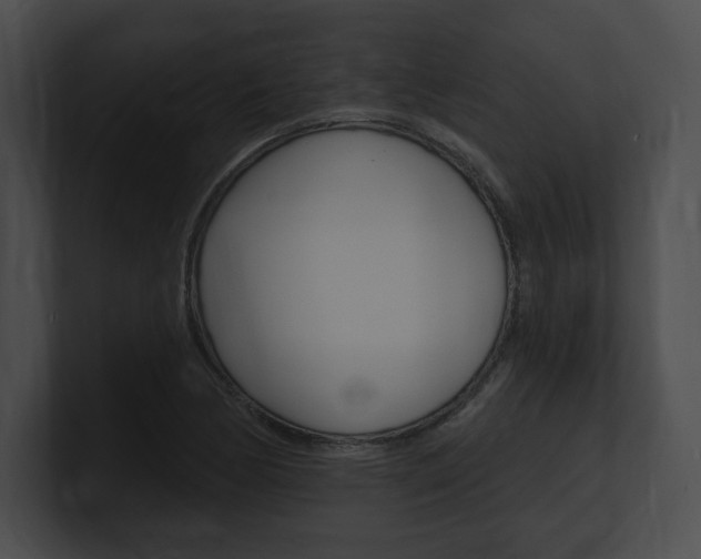X0000101161170200806270726