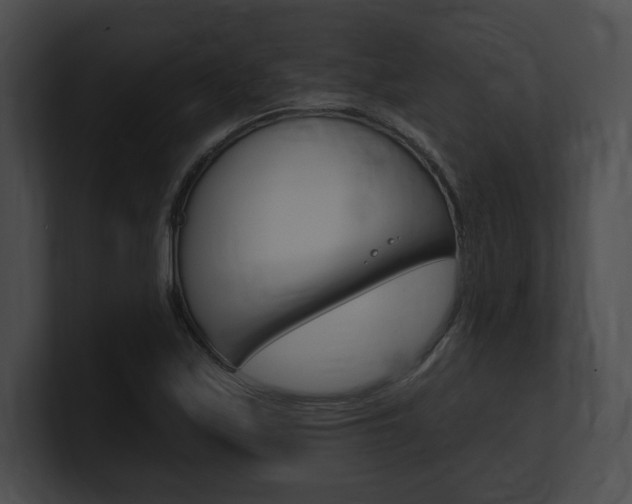 X0000101161171200806270726