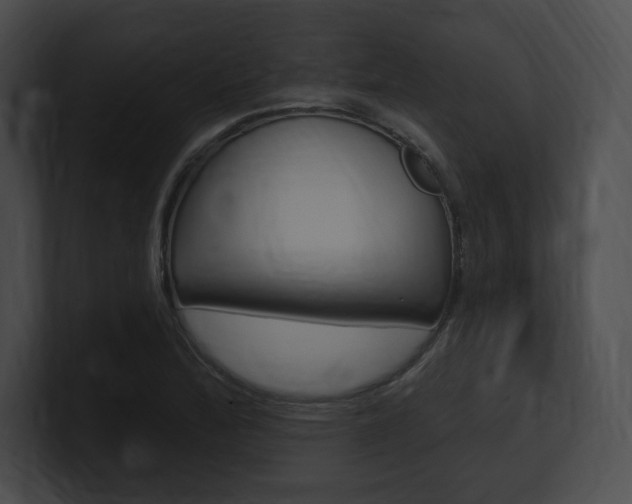 X0000101161172200806270726