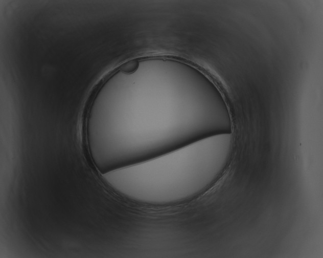 X0000101161173200806270726