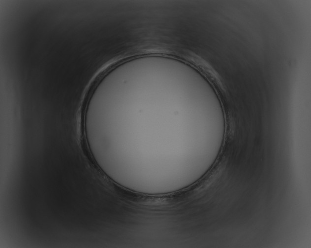 X0000101161174200806270726