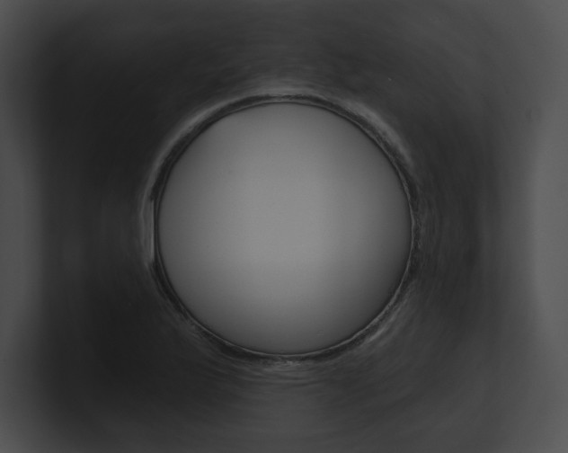 X0000101161175200806270726