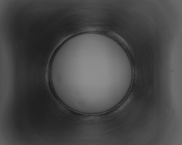 X0000101161178200806270726