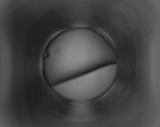 X0000101161179200806270726