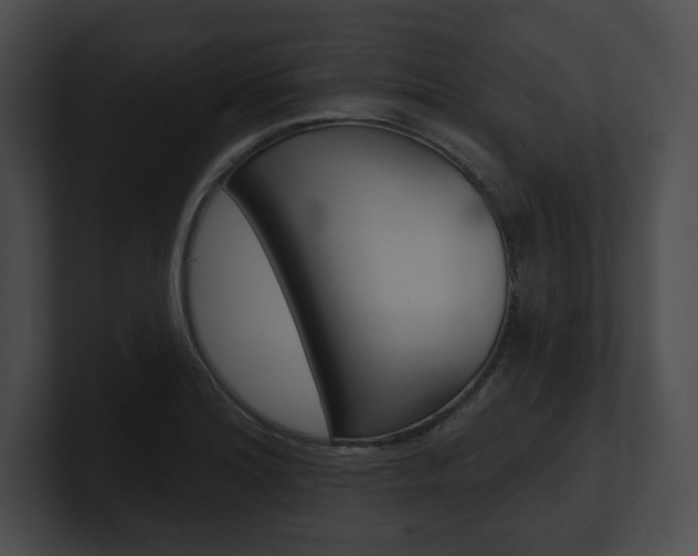 X0000101161180200806270726