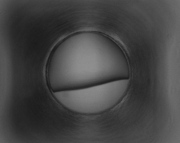 X0000101161181200806270726