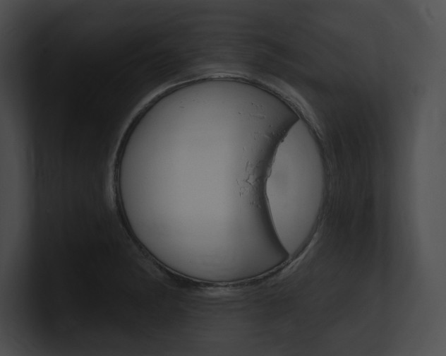 X0000101161182200806270726