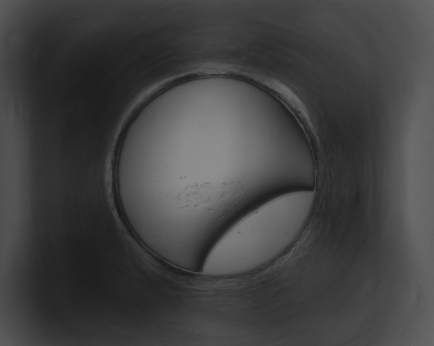 X0000101161183200806270726