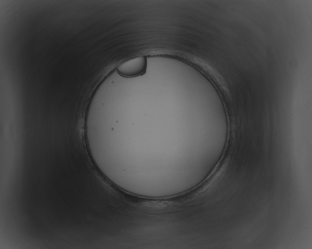 X0000101161185200806270726