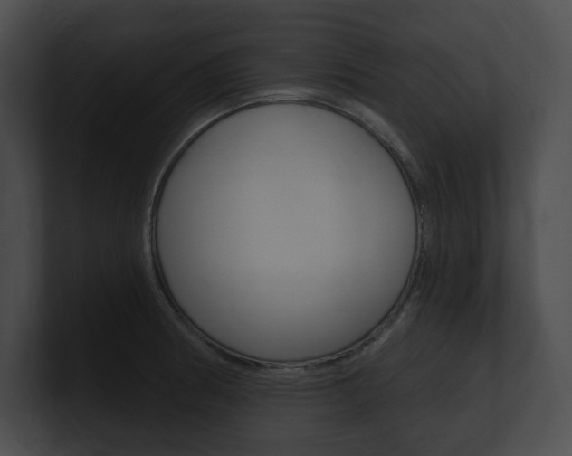 X0000101161186200806270726