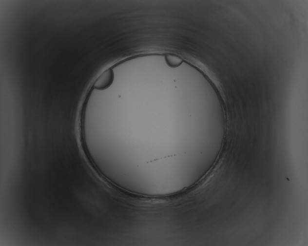 X0000101161187200806270726