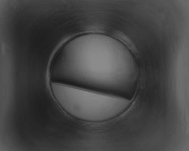 X0000101161188200806270726