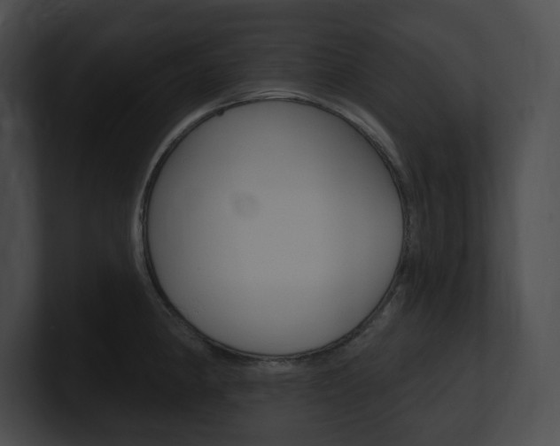 X0000101161190200806270726