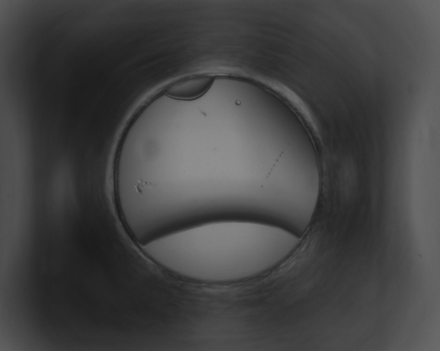 X0000101161191200806270726