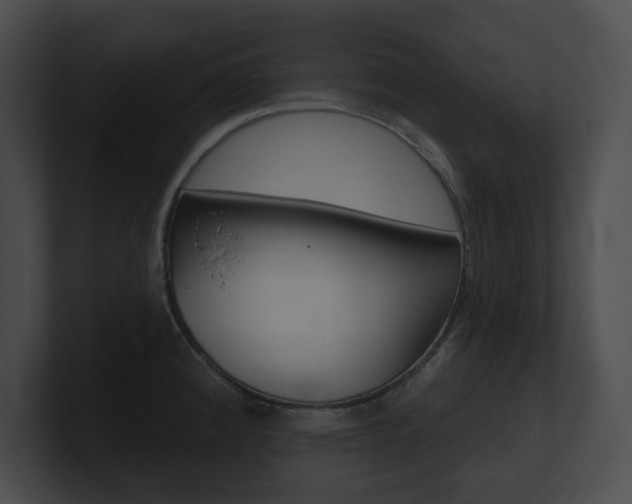 X0000101161192200806270726