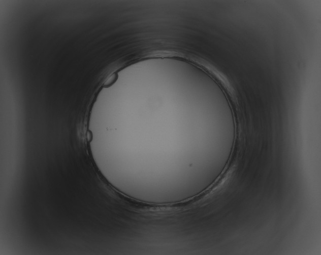 X0000101161193200806270726