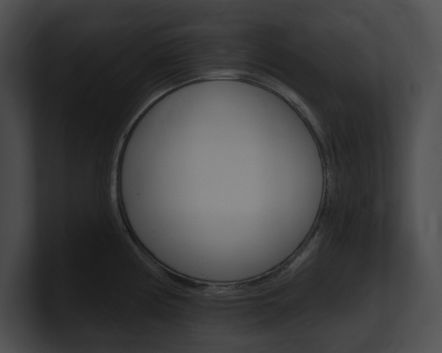 X0000101161194200806270726
