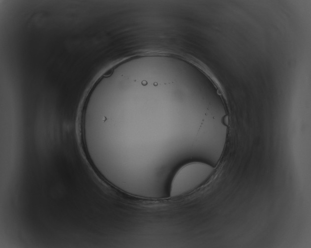 X0000101161195200806270726