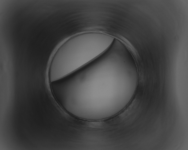 X0000101161196200806270726
