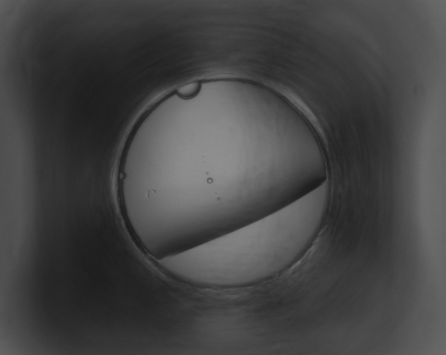 X0000101161197200806270726