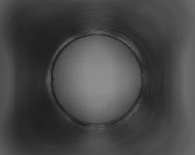 X0000101161198200806270726