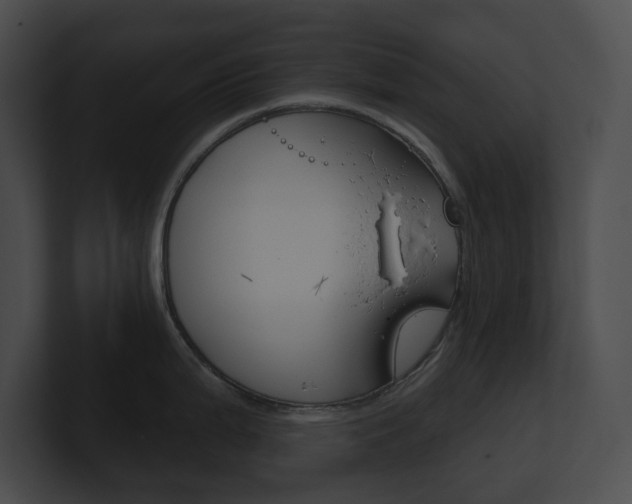 X0000101161199200806270726