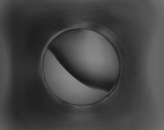 X0000101161200200806270726