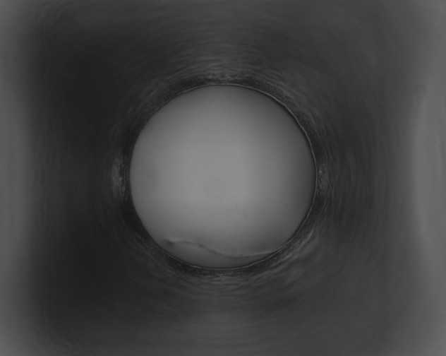 X0000101161202200806270725