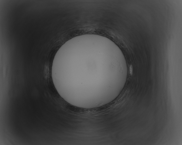 X0000101161203200806270725