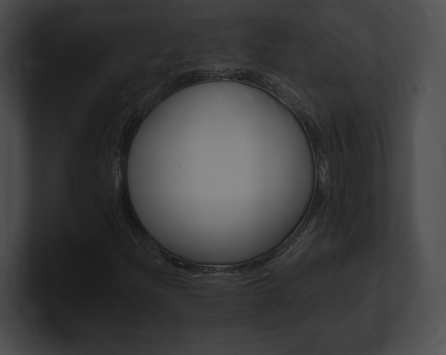 X0000101161204200806270725