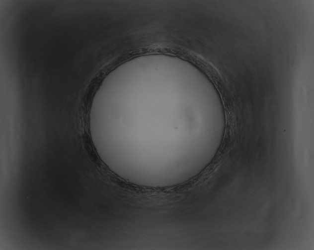 X0000101161207200806270725
