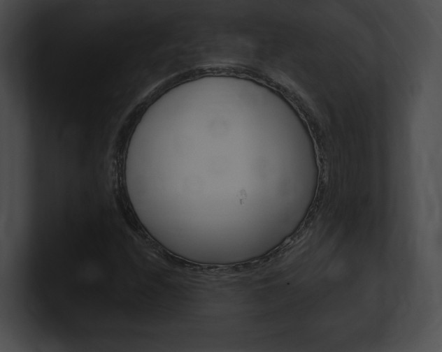 X0000101161208200806270725