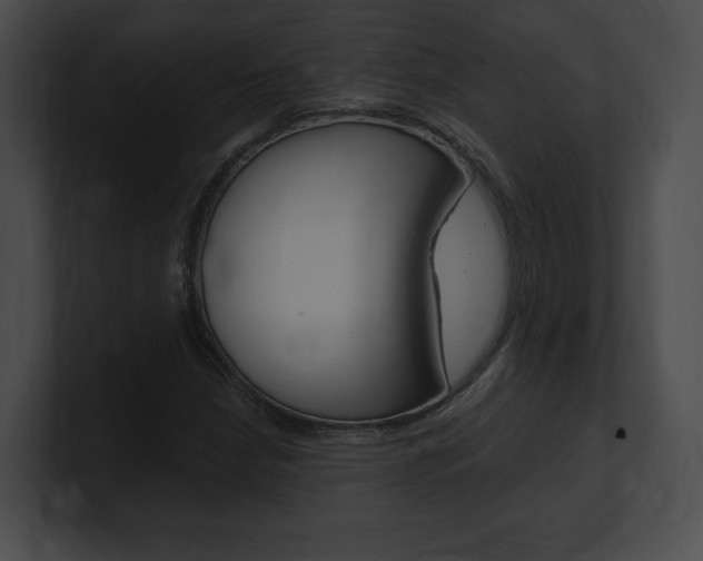X0000101161210200806270725