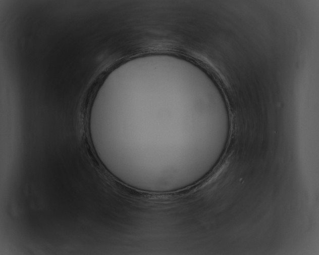 X0000101161211200806270725