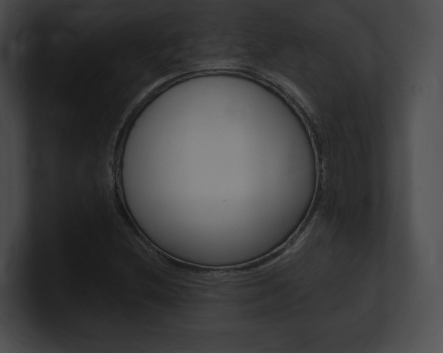 X0000101161212200806270725