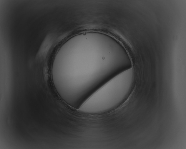 X0000101161213200806270725