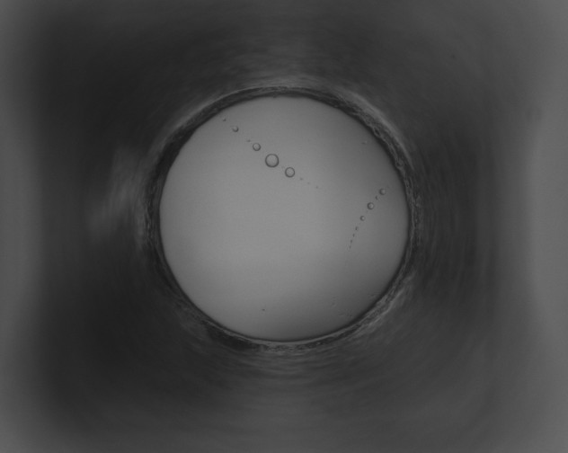 X0000101161215200806270725