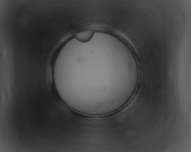X0000101161219200806270725