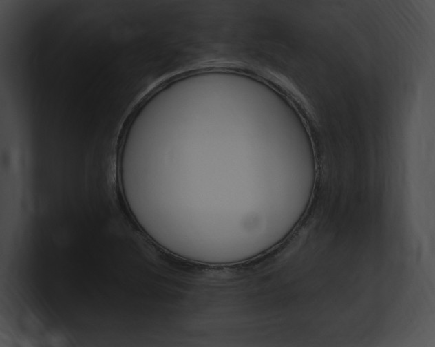 X0000101161220200806270725
