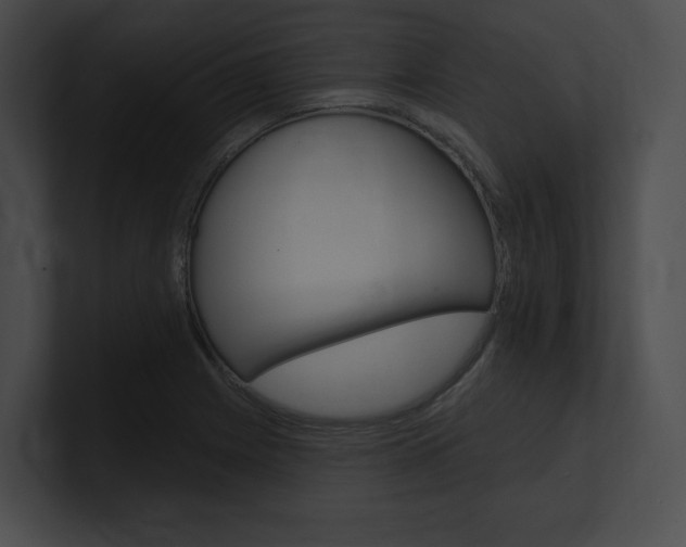 X0000101161225200806270725