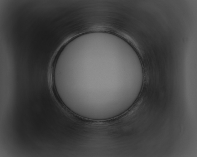X0000101161227200806270725
