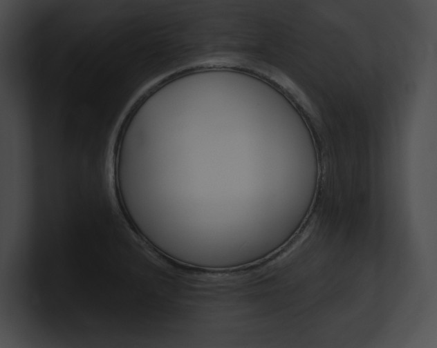 X0000101161232200806270725